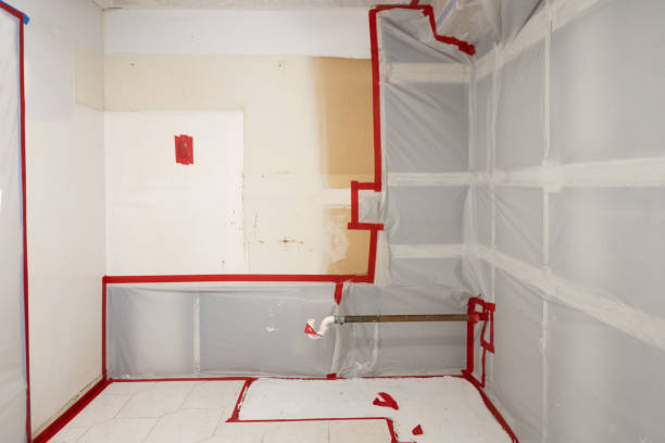 Best Residential Mold Inspection & Testing  in Wilmore, KY