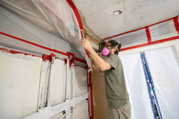 Best Post-Construction Mold Inspection  in Wilmore, KY