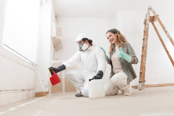 Best Mold Removal for HVAC Installations  in Wilmore, KY
