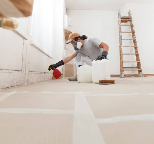 Best Forensic Mold Investigation  in Wilmore, KY